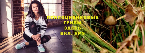 ALPHA-PVP Остров