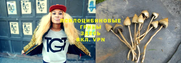 ALPHA-PVP Остров