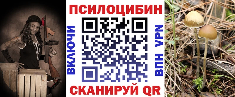 Галлюциногенные грибы Cubensis  МЕГА зеркало  Сосногорск 